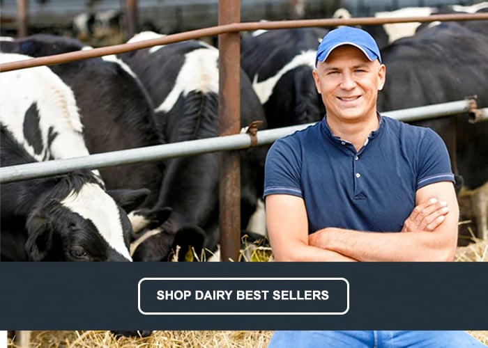 man-farmer-on-farm-with-dairy-cow-CTA-Final-B