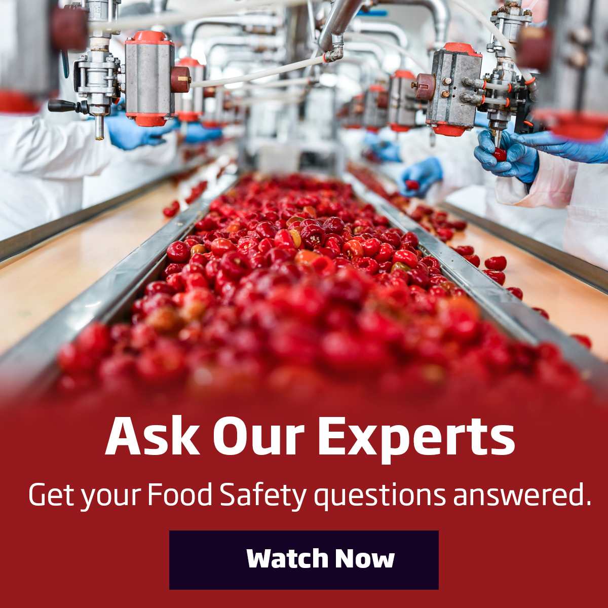 Food-Experts-Webinar-Q3-2022-1200by1200-WATCH-NOW_B
