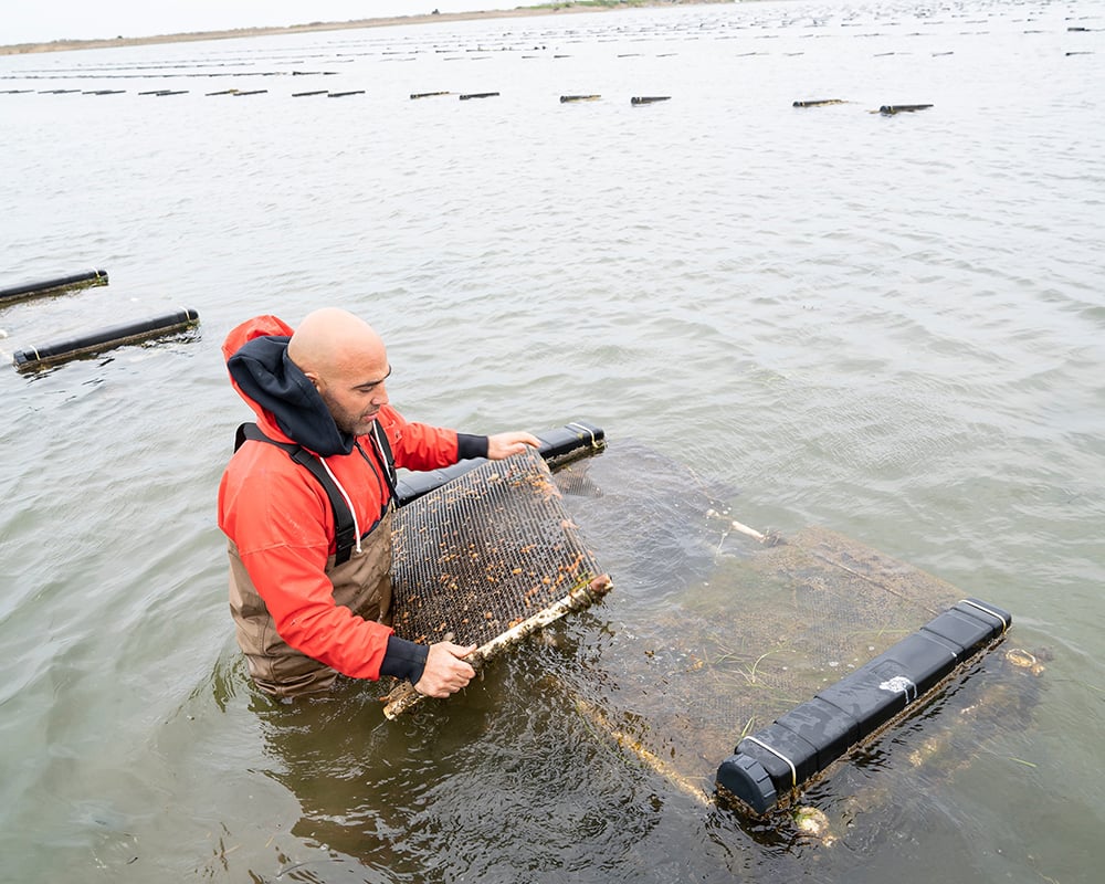 Man in the water - Aquaculture